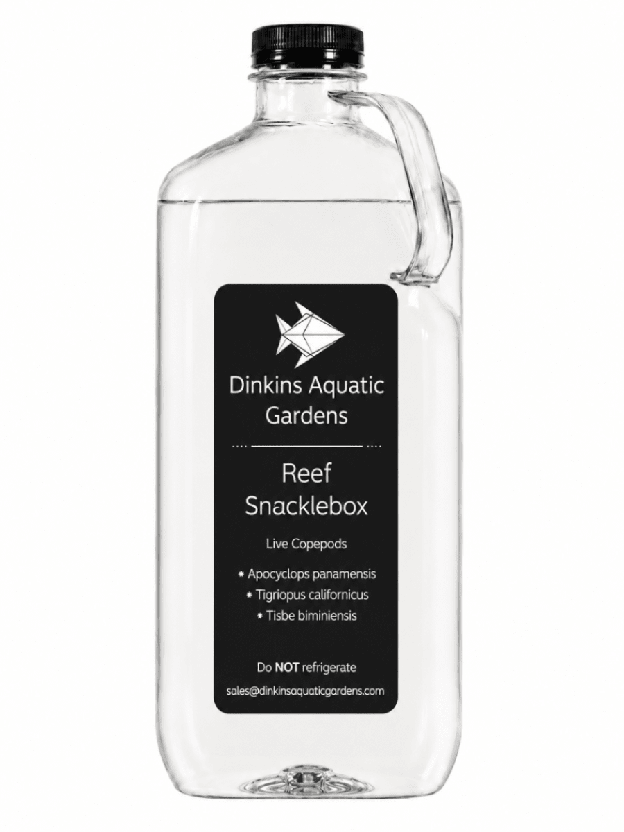 Reef Snacklebox - Three Species Blend of Live Copepods