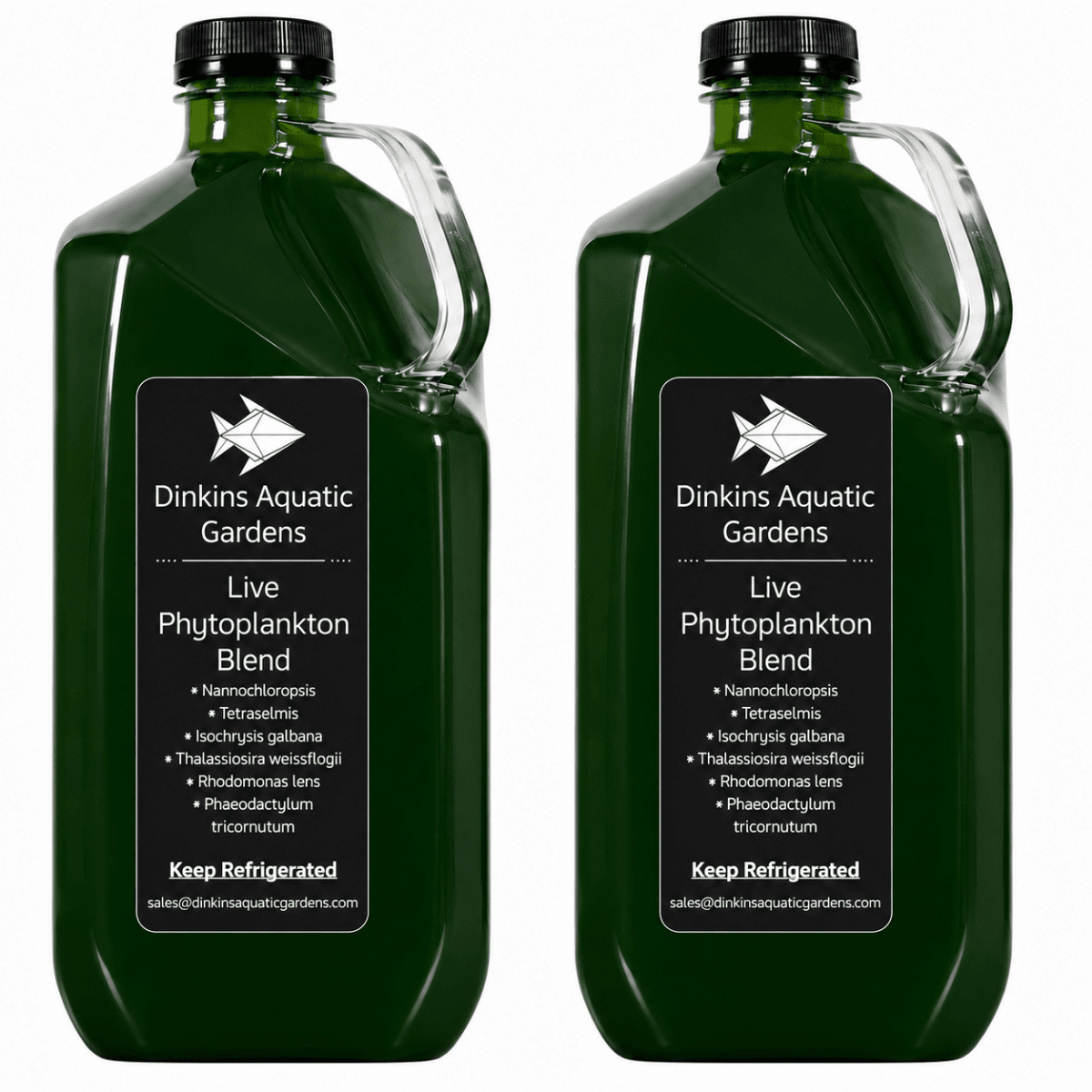 Live Phytoplankton - Six Species Blend
