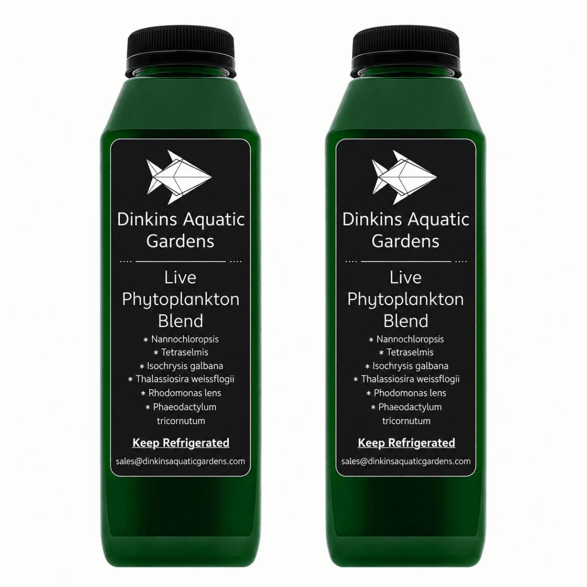 Live Phytoplankton - Six Species Blend