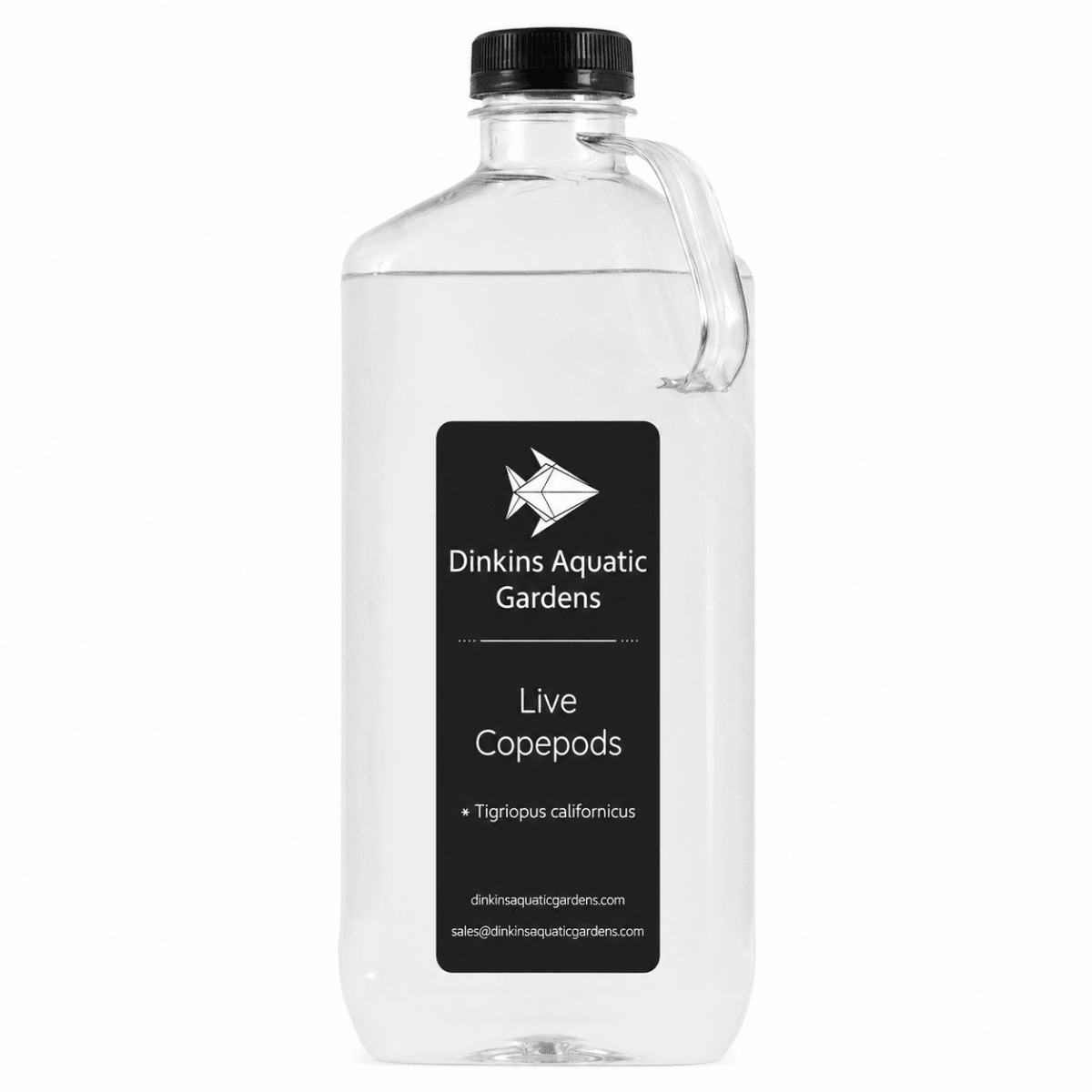 Live Tigriopus Copepods (Single Species)
