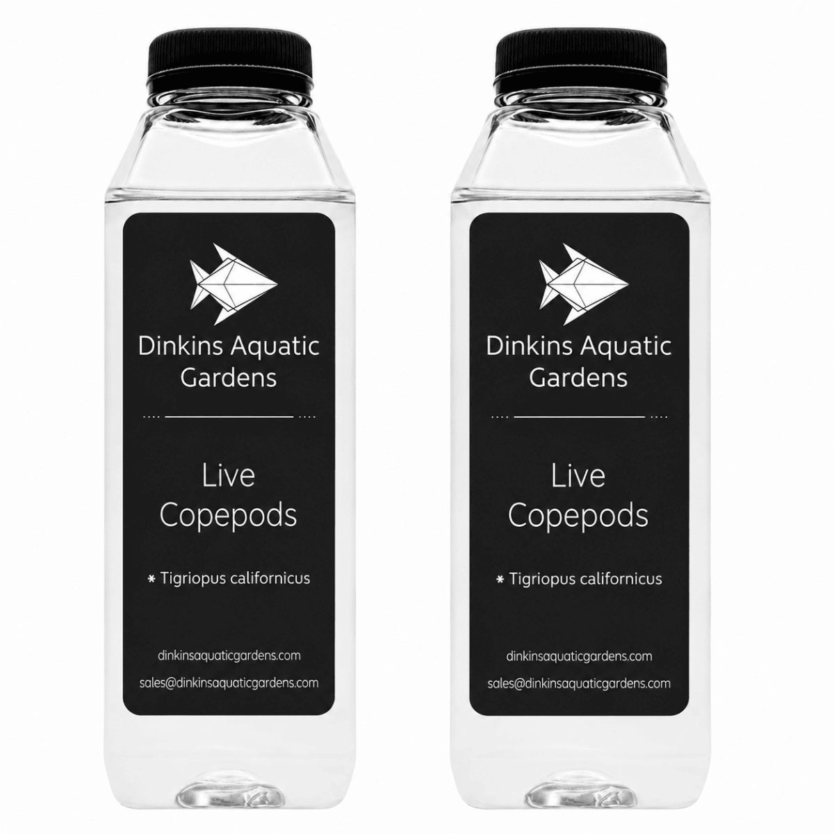 Live Tigriopus Copepods (Single Species)