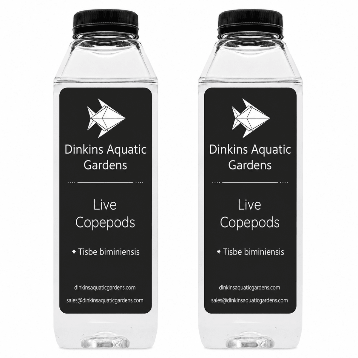 Live Tisbe Copepods (Single Species)