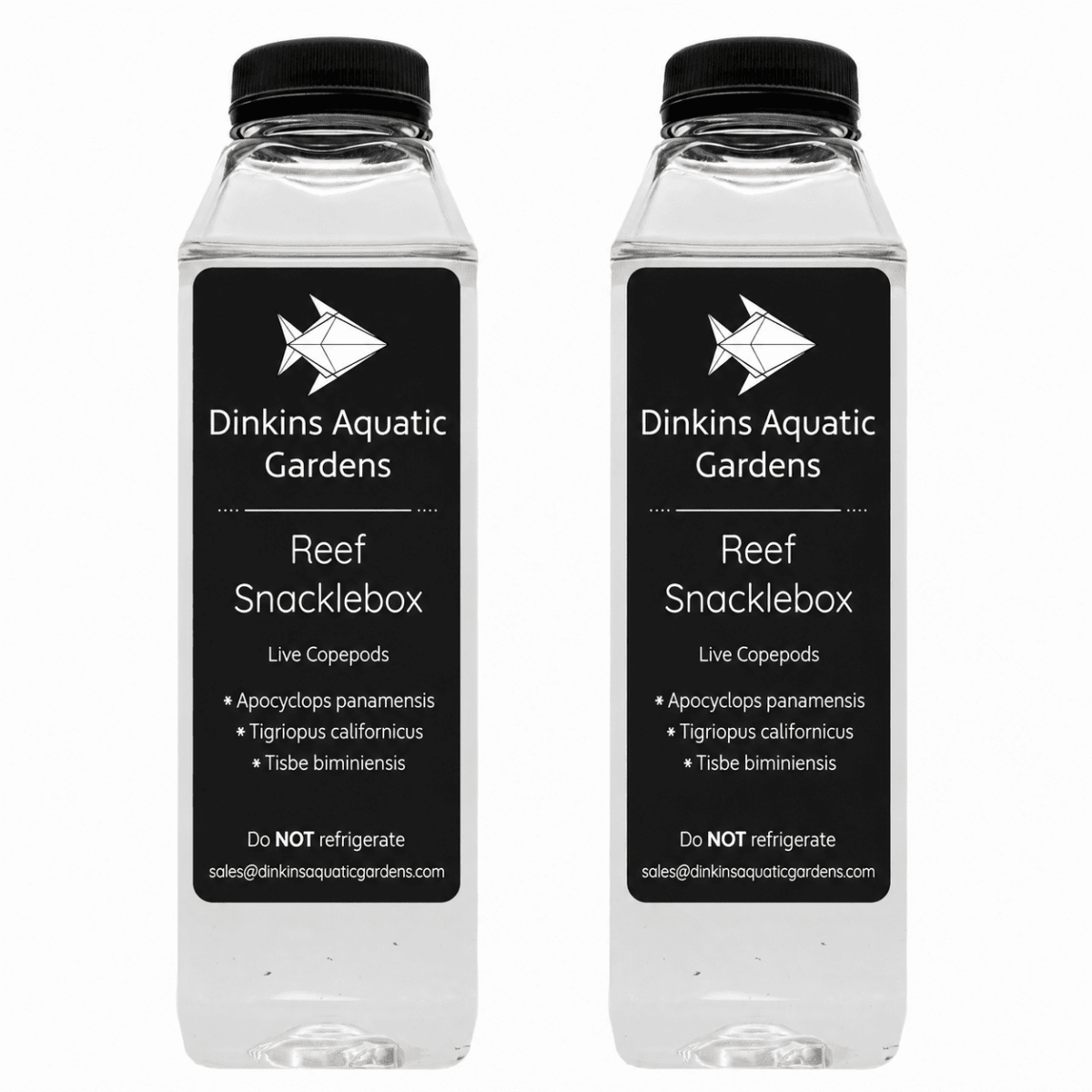 Reef Snacklebox - Three Species Blend of Live Copepods