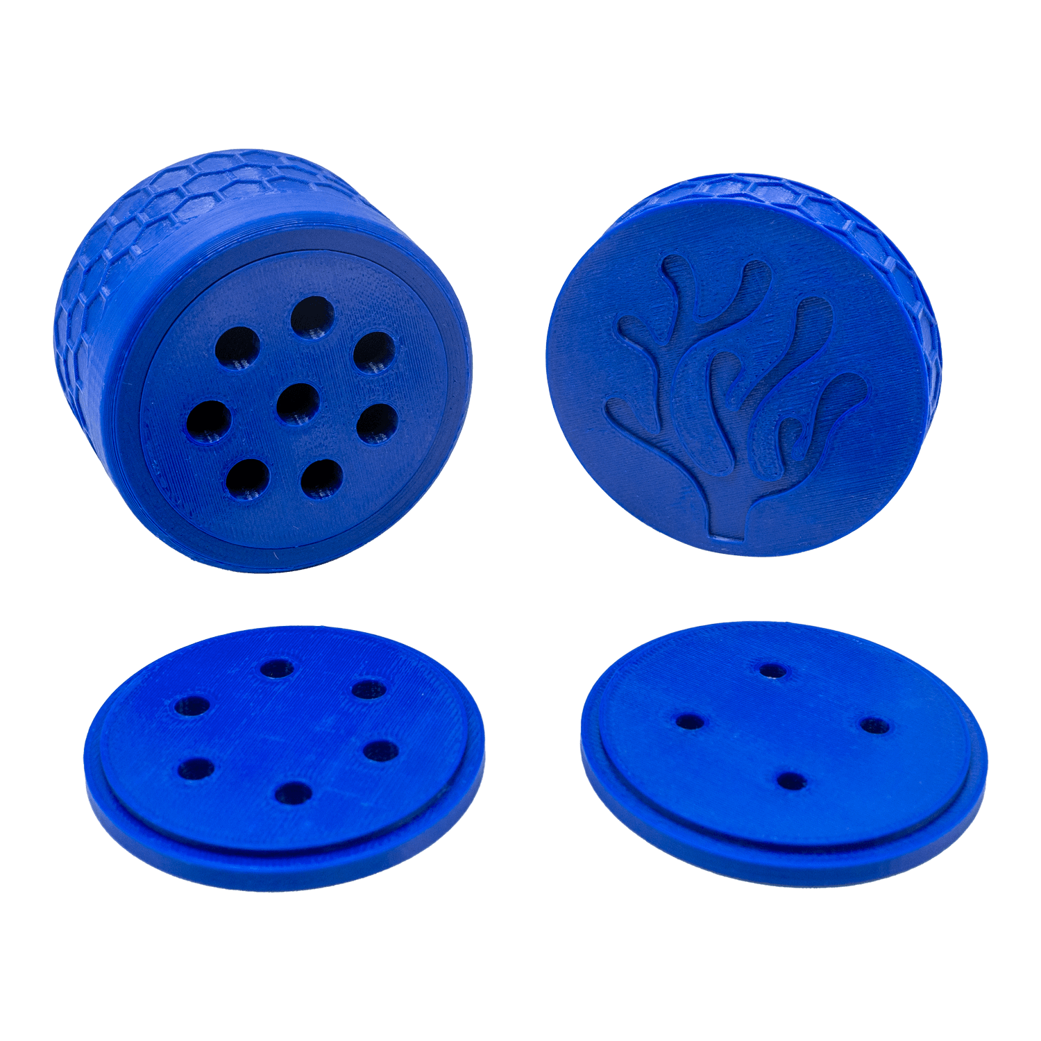 Copperband Butterfly Fish Feeder