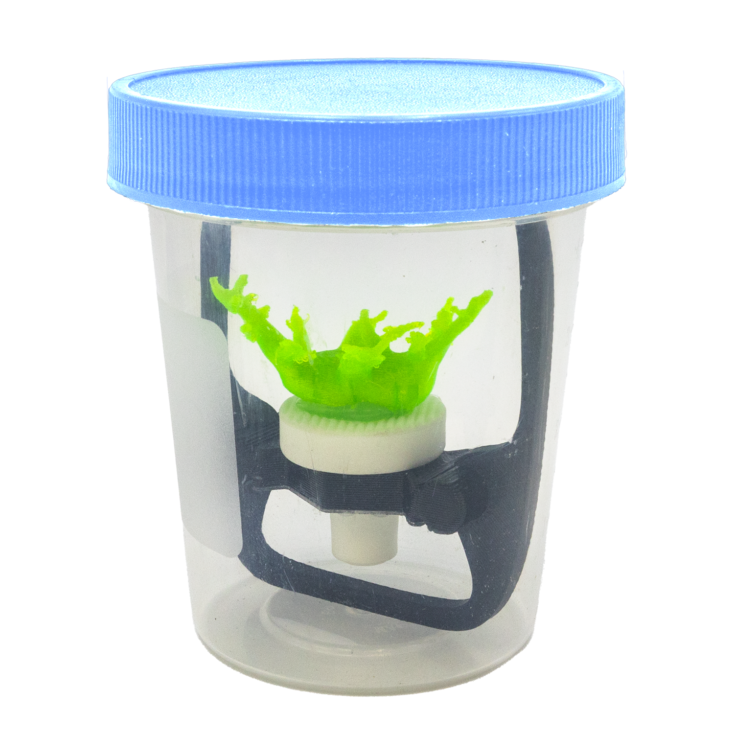 Coral Frag Transport Cup Kit