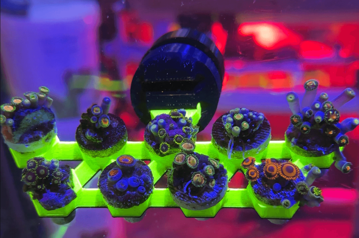 FragLoc™ - Magnetic Coral Frag Rack Kit