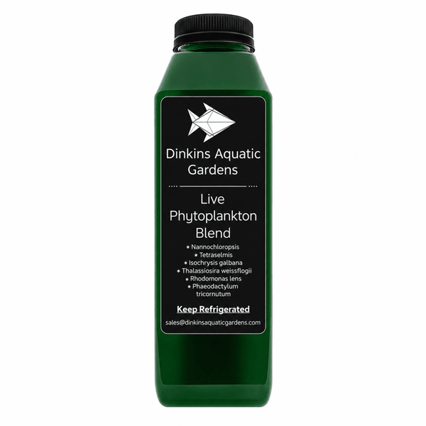 Live Phytoplankton - Six Species Blend