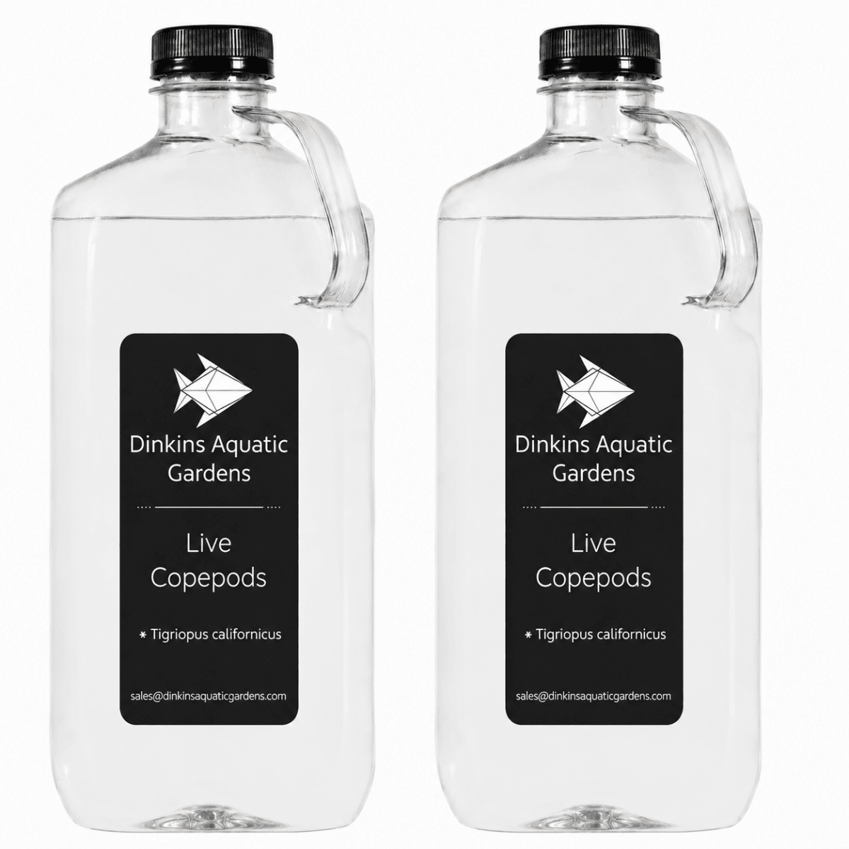 Live Tigriopus Copepods (Single Species)