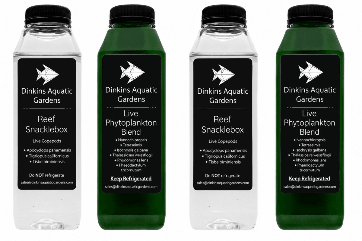 Reef Snacklepack Combo: Live Copepods + Live Phytoplankton